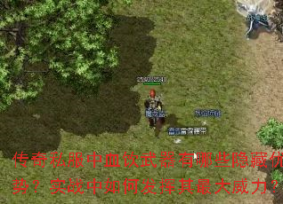 传奇私服中血饮武器有哪些隐藏优势?实战中如何发挥其最大威力? 传奇私服中血饮武器有哪些隐藏优势?实战中如何发挥其最大威力?