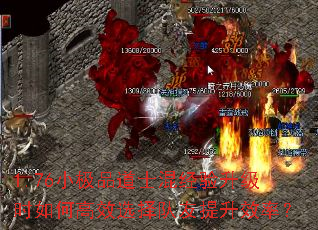 1.76СƷʿ쾭ʱθЧѡЧʣ