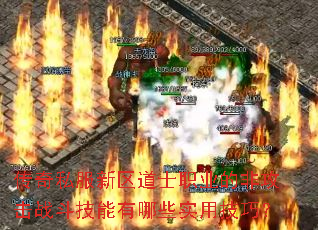 传奇私服新区道士职业的非攻击战斗技能有哪些实用技巧? 传奇私服新区道士职业的非攻击战斗技能有哪些实用技巧?