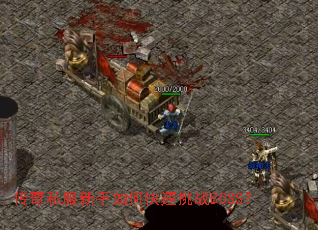 传奇私服新手如何快速挑战BOSS? 传奇私服新手如何快速挑战BOSS?