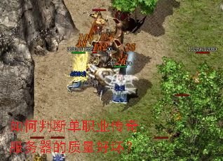 如何判断单职业传奇服务器的质量好坏? 如何判断单职业传奇服务器的质量好坏?