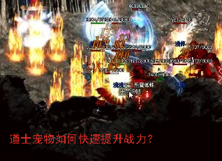 道士宠物如何快速提升战力? 道士宠物如何快速提升战力?