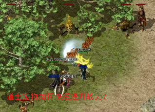 道士宠物如何快速提升战力? 道士宠物如何快速提升战力?