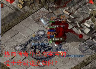 热血传奇里没有宝宝的道士升级速度如何? 热血传奇里没有宝宝的道士升级速度如何?