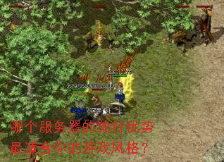 哪个服务器的独特优势最适合你的游戏风格? 哪个服务器的独特优势最适合你的游戏风格?