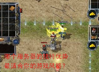 哪个服务器的独特优势最适合你的游戏风格? 哪个服务器的独特优势最适合你的游戏风格?