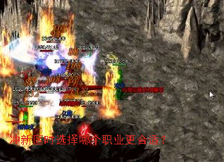 冲新区时选择哪个职业更合适? 冲新区时选择哪个职业更合适?