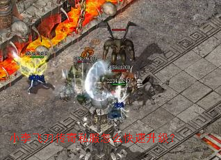 小李飞刀传奇私服怎么快速升级? 小李飞刀传奇私服怎么快速升级?