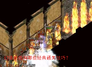 幻境地图有哪些经典通关技巧? 幻境地图有哪些经典通关技巧?