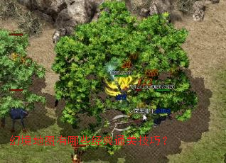 幻境地图有哪些经典通关技巧? 幻境地图有哪些经典通关技巧?