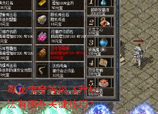 毒龙传奇等级飞升玩法有哪些关键技巧? 毒龙传奇等级飞升玩法有哪些关键技巧?