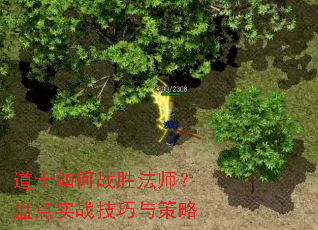 道士如何战胜法师?盘点实战技巧与策略 道士如何战胜法师?盘点实战技巧与策略