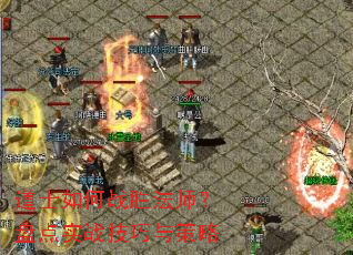 道士如何战胜法师?盘点实战技巧与策略 道士如何战胜法师?盘点实战技巧与策略