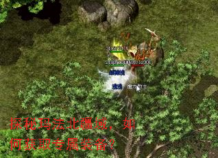 探秘玛法北疆域,如何获取专属装备? 探秘玛法北疆域,如何获取专属装备?