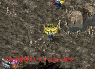 如何快速提升传奇私服角色等级? 如何快速提升传奇私服角色等级?