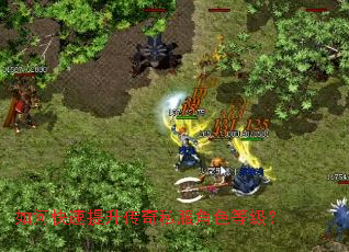 如何快速提升传奇私服角色等级? 如何快速提升传奇私服角色等级?