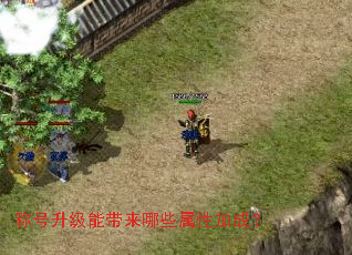 称号升级能带来哪些属性加成? 称号升级能带来哪些属性加成?