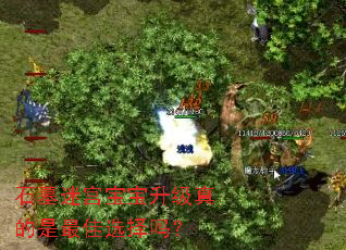 石墓迷宫宝宝升级真的是最佳选择吗? 石墓迷宫宝宝升级真的是最佳选择吗?