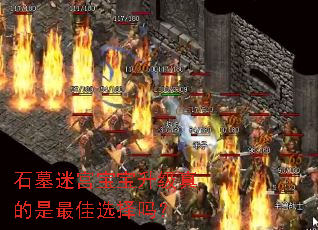 石墓迷宫宝宝升级真的是最佳选择吗? 石墓迷宫宝宝升级真的是最佳选择吗?