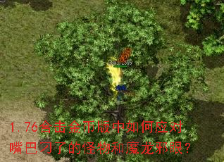 1.76合击金币版中如何应对嘴巴刁了的怪物和魔龙邪眼? 1.76合击金币版中如何应对嘴巴刁了的怪物和魔龙邪眼?