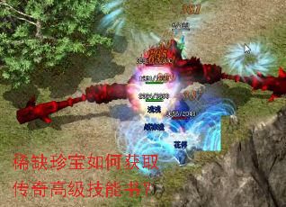 稀缺珍宝如何获取传奇高级技能书? 稀缺珍宝如何获取传奇高级技能书?