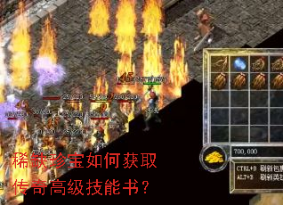 稀缺珍宝如何获取传奇高级技能书? 稀缺珍宝如何获取传奇高级技能书?