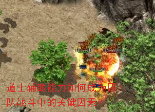 道士辅助能力如何成为团队战斗中的关键因素? 道士辅助能力如何成为团队战斗中的关键因素?
