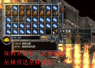 如何从白日门安全抵达丛林抵达丛林迷宫? 如何从白日门安全抵达丛林抵达丛林迷宫?