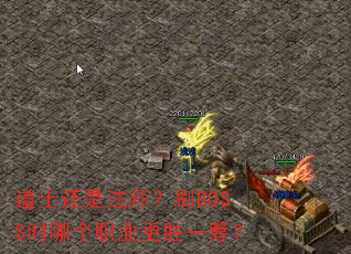 道士还是法师?刷BOSS时哪个职业更胜一筹? 道士还是法师?刷BOSS时哪个职业更胜一筹?