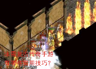 冰雪复古传奇手游有哪些实用技巧? 冰雪复古传奇手游有哪些实用技巧?