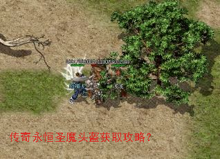 ��������ʥħͷ����ȡ���ԣ�