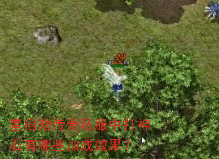 ���޽ٴ���˽���д���ʯ����Щ�ӳ�Ч����