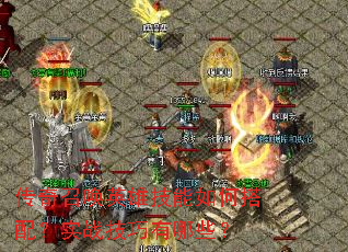 �����ٻ�Ӣ�ۼ�����δ��䣿ʵս��������Щ��