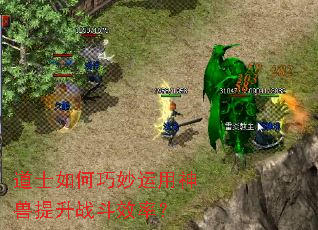 ��ʿ�������������������ս��Ч�ʣ�