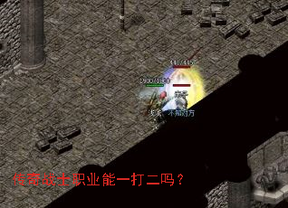 传奇战士职业能一打二吗? 传奇战士职业能一打二吗?