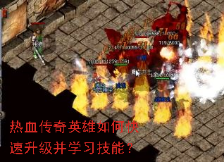 ��Ѫ����Ӣ����ο���������ѧϰ���ܣ�