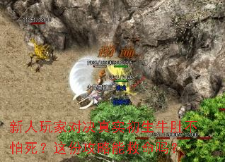 新人玩家对决真实初生牛肚不怕死?这份攻略能救命吗? 新人玩家对决真实初生牛肚不怕死?这份攻略能救命吗?