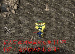 新人玩家对决真实初生牛肚不怕死?这份攻略能救命吗? 新人玩家对决真实初生牛肚不怕死?这份攻略能救命吗?
