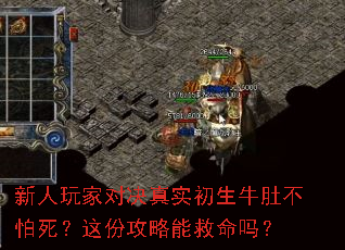 新人玩家对决真实初生牛肚不怕死?这份攻略能救命吗? 新人玩家对决真实初生牛肚不怕死?这份攻略能救命吗?