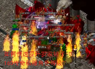 ��ο��������޼�����-0160����˽����ɫ�ȼ���