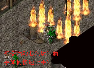 �������ô�棿������ο������֣�