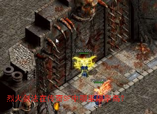 �һ𽣷��ڴ���SF�����ﱬ�ʸߣ�