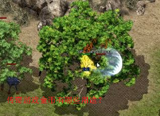 ������Ϸ�������Щ��;��