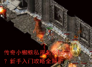 ����С֩��˽����ô�棿�������Ź���ȫ����