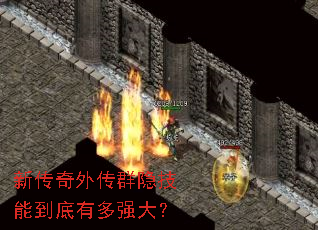 �´����⴫Ⱥ�����ܵ����ж�ǿ��