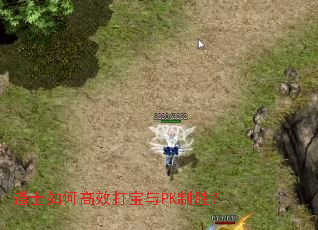 ��ʿ��θ�Ч����PK��ʤ��