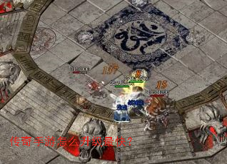 ����������ô������죿