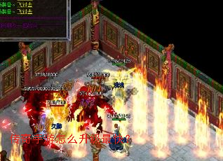 ����������ô������죿