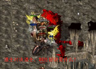 ��ʿ�Ծ���ʿ����ʤ�ؾ���ʲô��