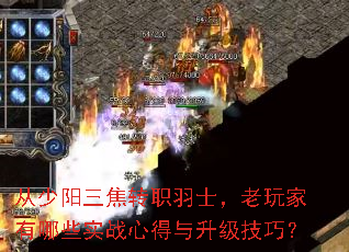 ����������תְ��ʿ�����������Щʵս�ĵ����������ɣ�